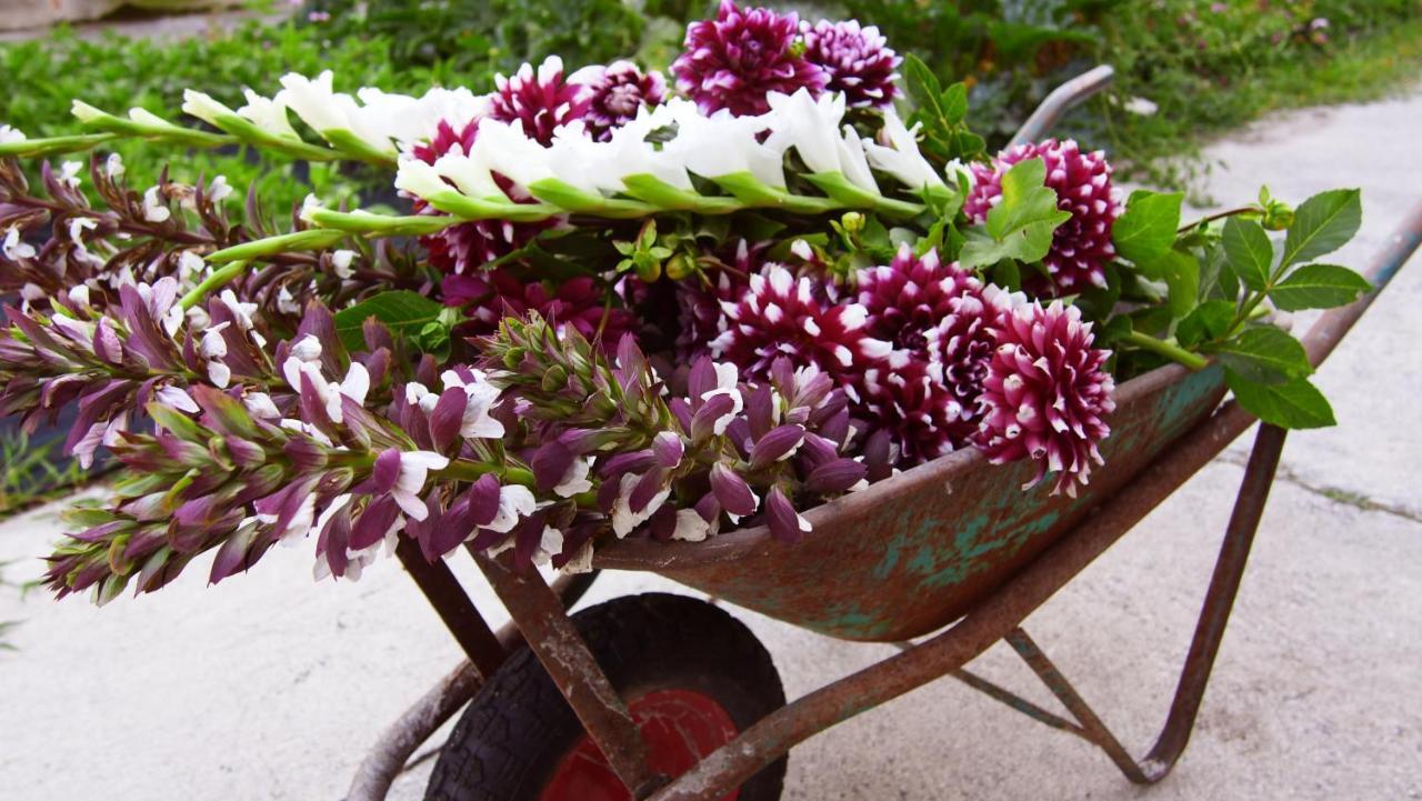 Agriturismo Fiorbello Montirone ภายนอก รูปภาพ