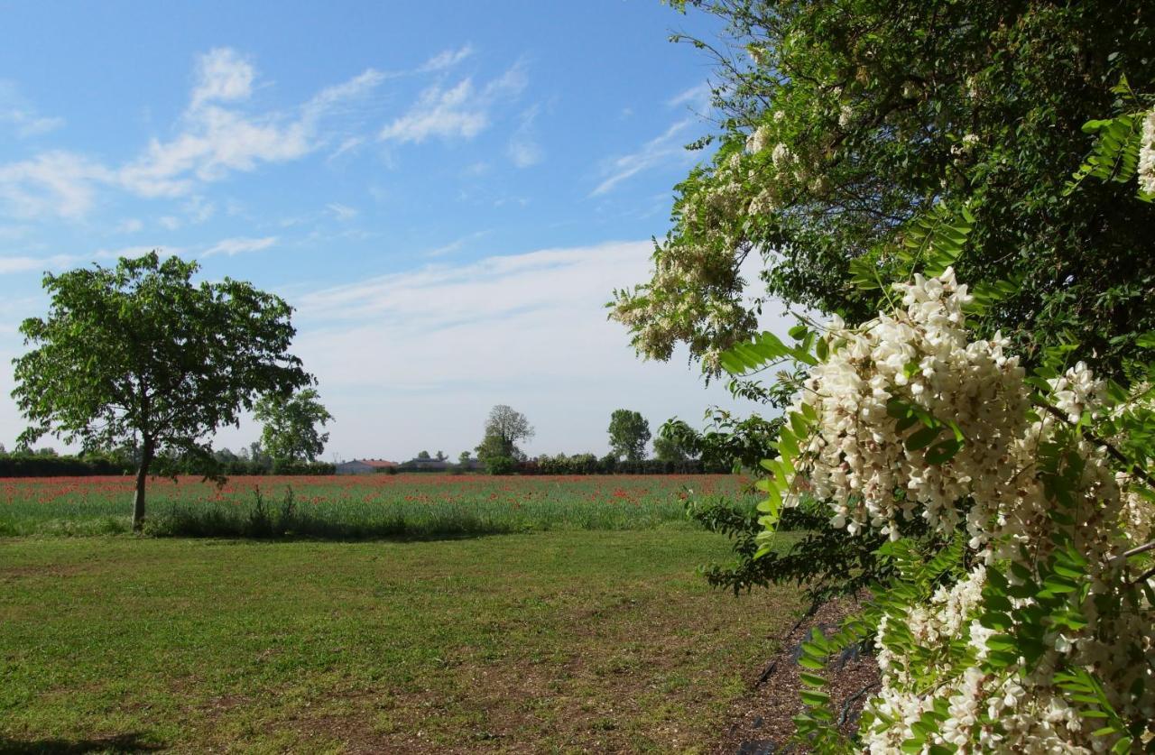 Agriturismo Fiorbello Montirone ภายนอก รูปภาพ