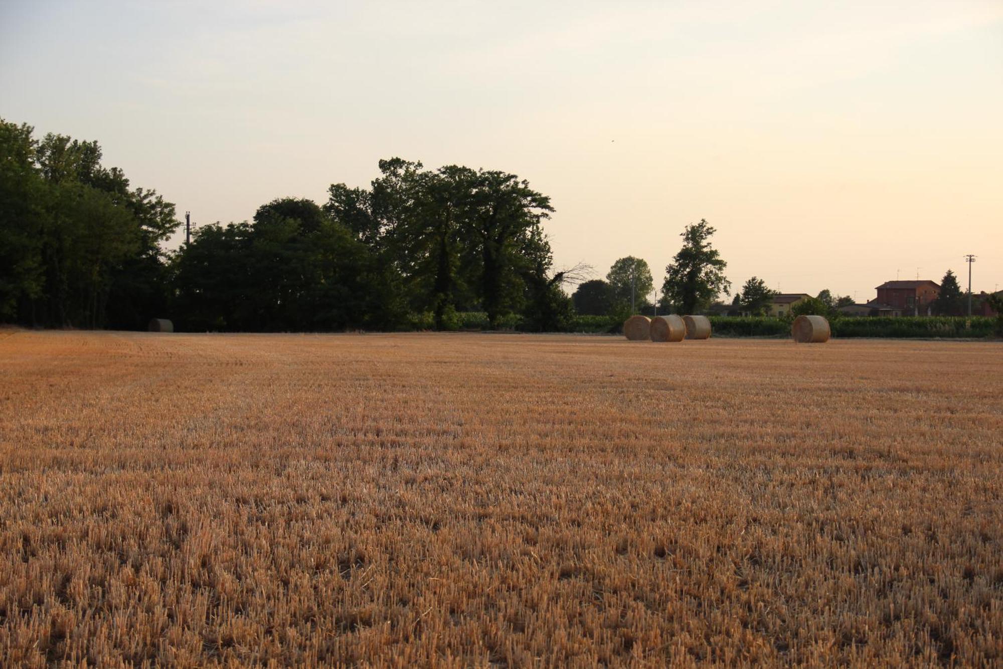 Agriturismo Fiorbello Montirone ภายนอก รูปภาพ